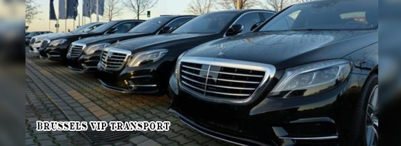 limousine chauffeur vip